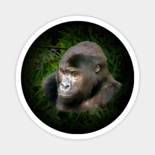 Gorilla portrait Magnet